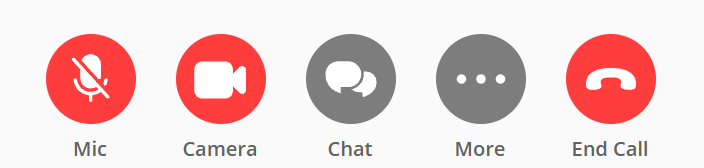 The middle of the call controls row with five round buttons. Mic is red and its microphone has a diagonal line through it. Camera is red with a plain camera on it. Chat and More are grey. End Call is red with a handset.