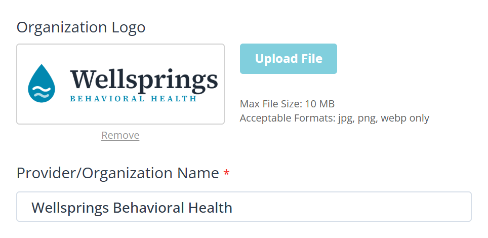 Two rows of a settings form. Organization Logo shows the current logo in a wide bordered box with an Upload File button beside it, the maximum file size and the accepted formats underneath, and a Remove link below the box. Provider slash Organization Name follows, marked required, with the clinic name in a text field.